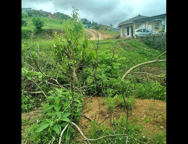 LAND FOR SALE IN LOVU